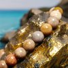 Fossil Coral Compassion Bracelet Fossil Coral Compassion Bracelet