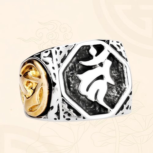 Anillo Tibetano de Equilibrio en Titanio