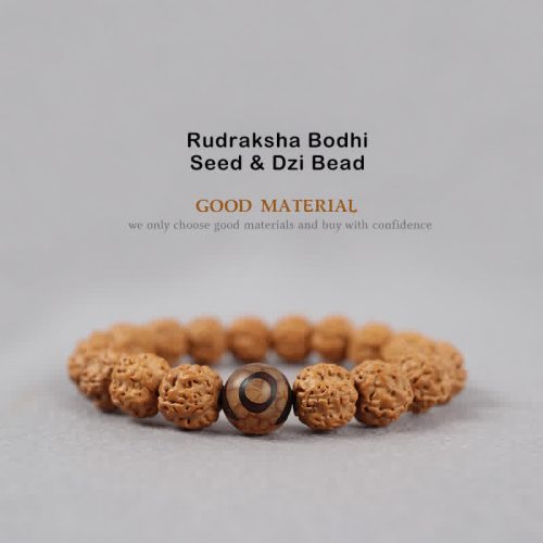 Tibet Rudraksha Dzi Bead Amber Turquoise Wealth Bracelet