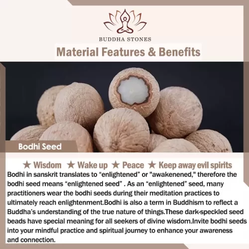 108 Bodhi Seed Prayer Bracelet