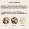 Natural Bodhi Seed Cat Paw Harmony Bracelet Natural Bodhi Seed Cat Paw Harmony Bracelet