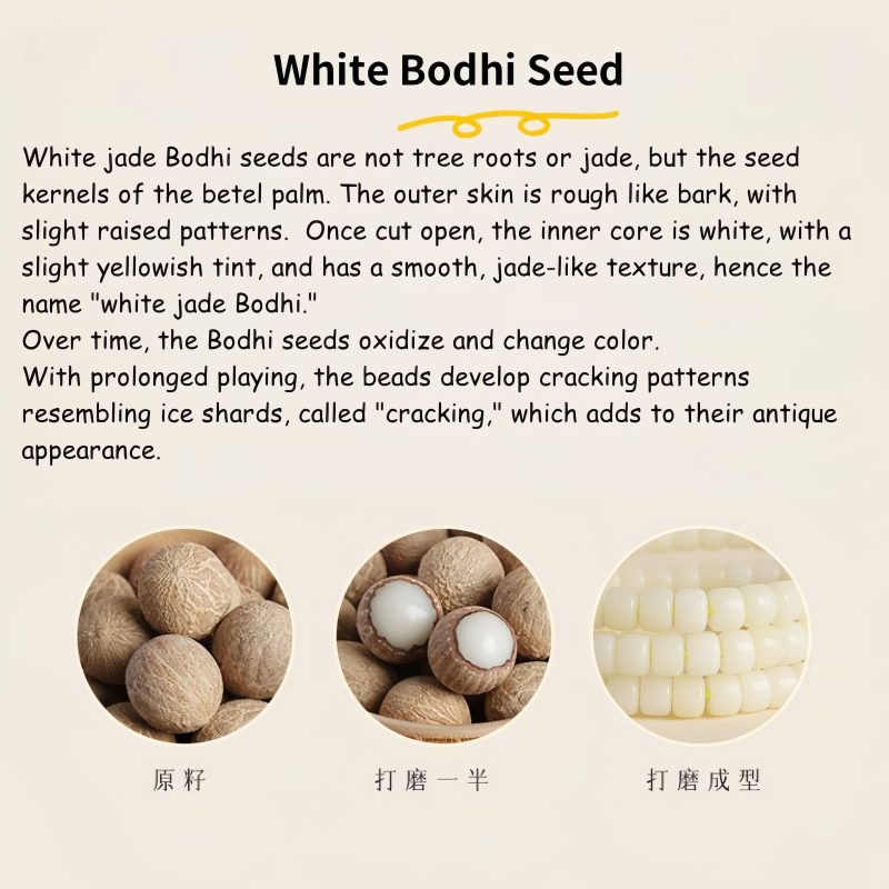 Natural Bodhi Seed Cat Paw Harmony Bracelet Natural Bodhi Seed Cat Paw Harmony Bracelet