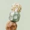 Pulsera de la Riqueza con Semillas de Bodhi Multicolor Colorful Bodhi Seed Wealth Bracelet