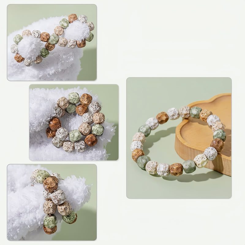 Pulsera de la Riqueza con Semillas de Bodhi Multicolor Colorful Bodhi Seed Wealth Bracelet