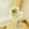 14k Gold Plated Fu Lu Shou Peach Moonstone Ring 14k Gold Plated Fu Lu Shou Peach Moonstone Ring