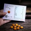 Tibet 108 Mala Sheep Horn Amber Luck Bracelet Tibet 108 Mala Sheep Horn Amber Luck Bracelet