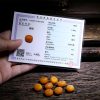 Tibetan 108 Mala Yak Bone Amber Balance Bracelet Tibetan 108 Mala Yak Bone Amber Balance Bracelet