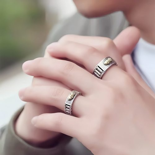 Anillo de la Riqueza Feng Shui PiXiu