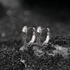 925 Silver Green-eyed Snake Earrings 925 Silver Green-eyed Snake Earrings