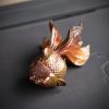 Figura de Resina de Peixe Koi que Muda de Cor Color Changing Koi Fish Resin Figurine