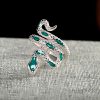 925 Silver Year of the Snake Blessing Ring 925 Silver Year of the Snake Blessing Ring