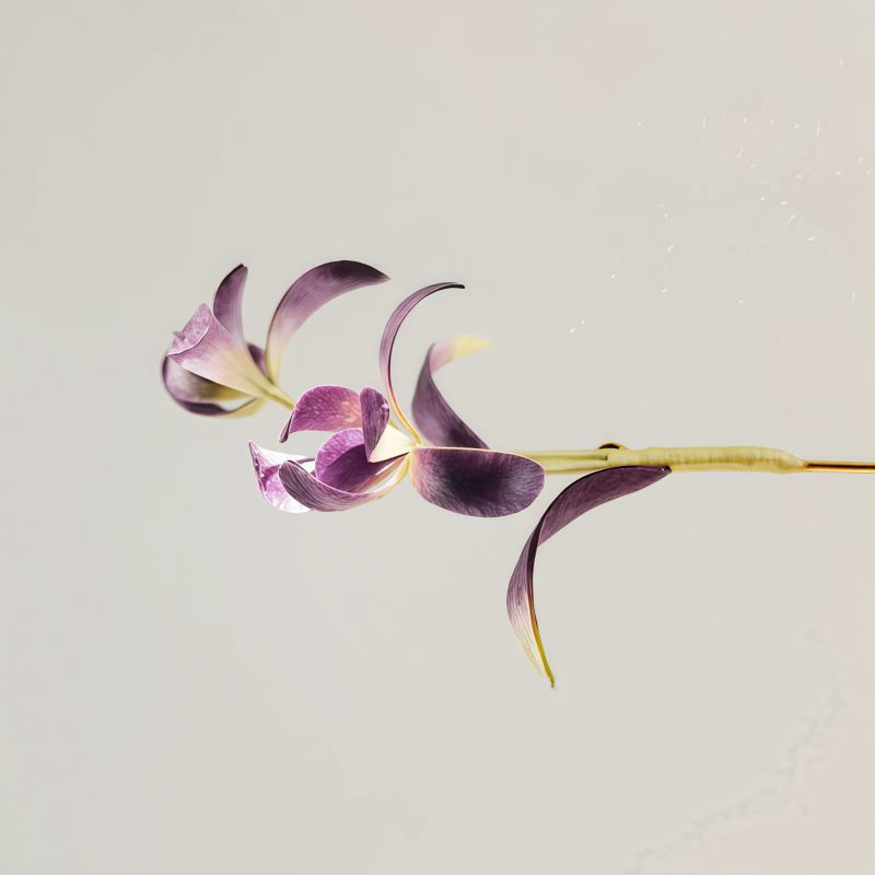 Handmade Mulberry Silk Orchid Brooch Handmade Mulberry Silk Orchid Brooch