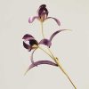 Handmade Mulberry Silk Orchid Brooch Handmade Mulberry Silk Orchid Brooch