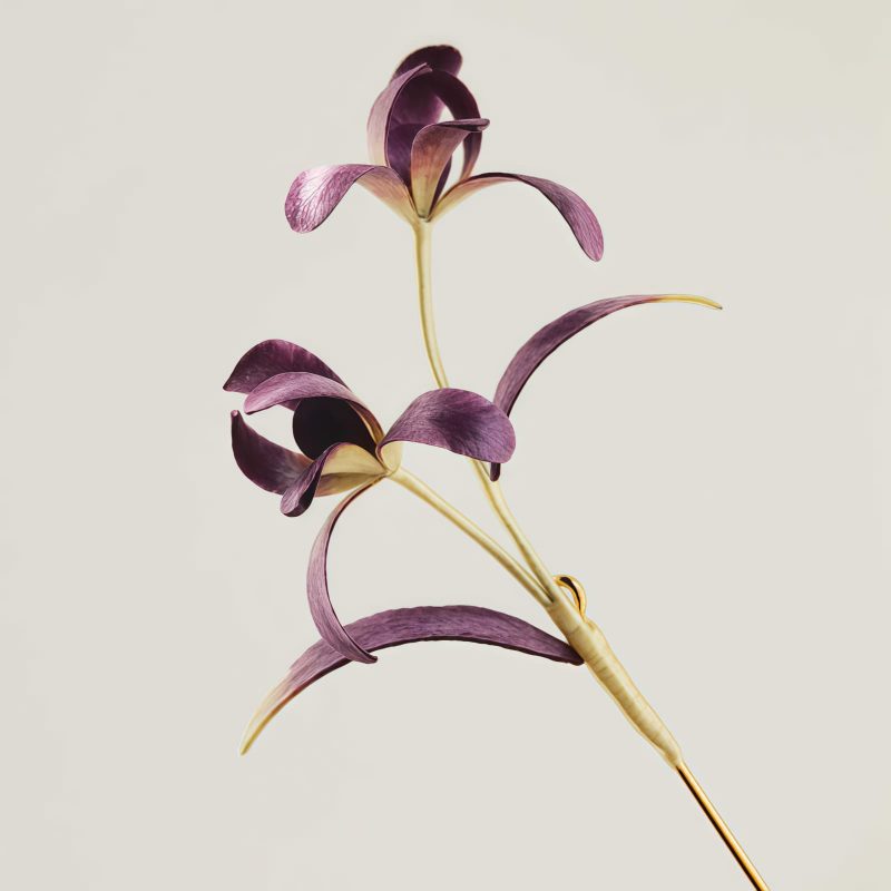 Handmade Mulberry Silk Orchid Brooch Handmade Mulberry Silk Orchid Brooch