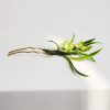 Handmade Mulberry Silk Flower Brooch & Hairpin Handmade Mulberry Silk Flower Brooch & Hairpin