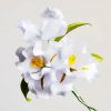 Mulberry Silk White Iris Brooch Mulberry Silk White Iris Brooch