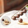Vintage Sandalwood Healing Brooch Vintage Sandalwood Healing Brooch