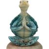 Tibetan Resin Meditating Turtle Statue Tibetan Resin Meditating Turtle Statue