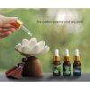Black Peach Wood Buddha Calm Cure Decoration Black Peach Wood Buddha Calm Cure Decoration