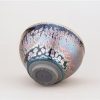 Chinese Jianzhan Tenmoku Teacup with Succulent Design Chinese Jianzhan Tenmoku Teacup with Succulent Design