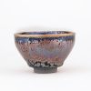 Chinese Jianzhan Tenmoku Teacup with Succulent Design Chinese Jianzhan Tenmoku Teacup with Succulent Design