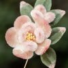 Handmade Mulberry Silk Peach Blossom Brooch Handmade Mulberry Silk Peach Blossom Brooch