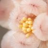 Handmade Mulberry Silk Peach Blossom Brooch Handmade Mulberry Silk Peach Blossom Brooch